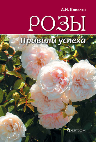 . Розы. Правила успеха