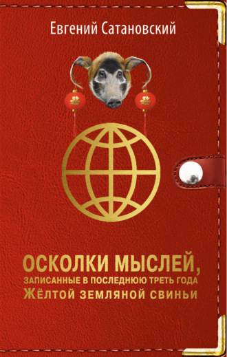 . Осколки мыслей, записанные в последнюю треть года Жёлтой Земляной Свиньи