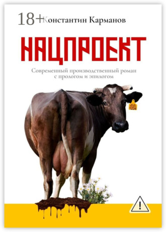 Константин Николаевич Карманов. Нацпроект. Современный производственный роман с прологом и эпилогом