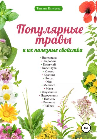 . Популярные травы и их полезные свойства