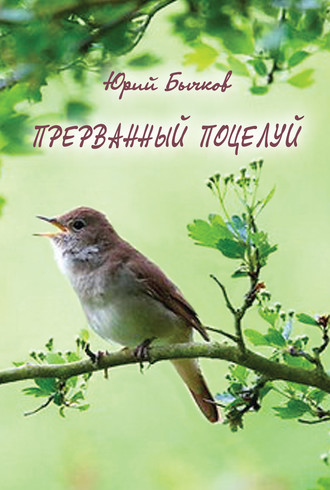 Юрий Бычков. Прерванный поцелуй