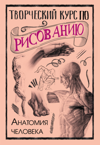 . Творческий курс по рисованию. Анатомия человека