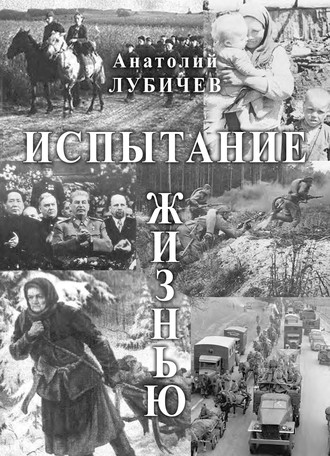 Анатолий Лубичев. Испытание жизнью