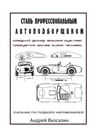 Андрей Сергеевич Визгалин. Стань профессиональным автоподборщиком
