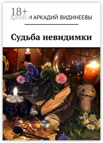 Юрий и Аркадий Видинеевы. Судьба невидимки