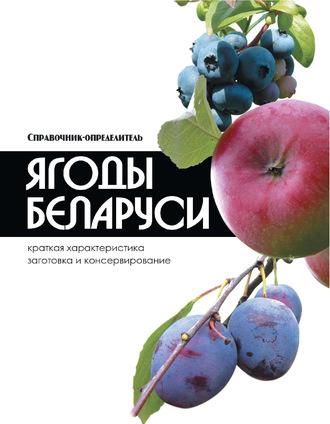 . Ягоды Беларуси