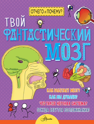 Джон Фарндон. Твой фантастический мозг