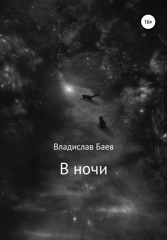 . В ночи