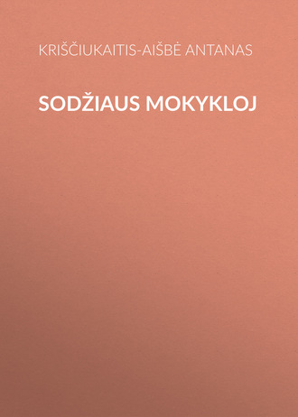 . Sodžiaus mokykloj
