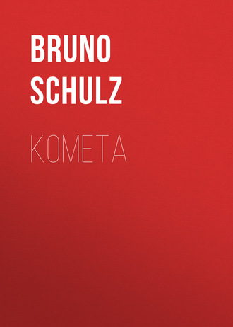 Bruno  Schulz. Kometa