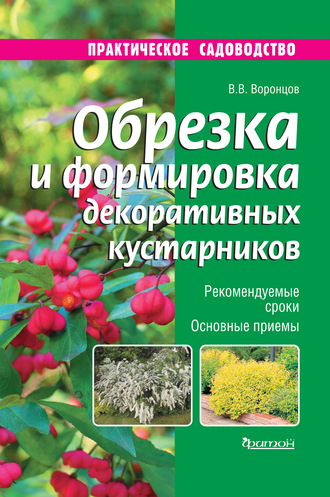 . Обрезка и формировка декоративных кустарников