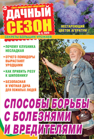 . Дачный сезон №06/2020