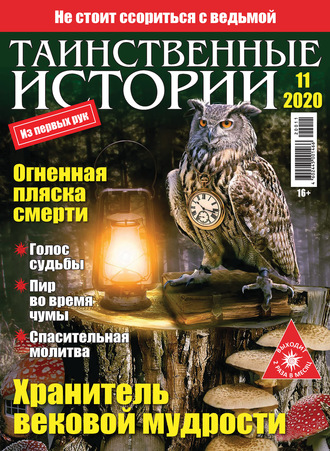 . Таинственные истории №11/2020