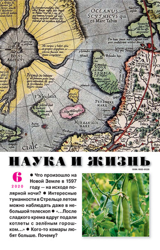 . Наука и жизнь №06/2020