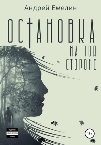 . Остановка на той стороне