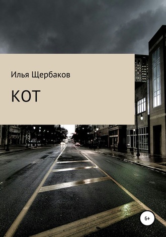 . Кот