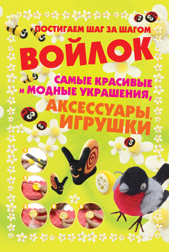 Александра Аксенова. Войлок