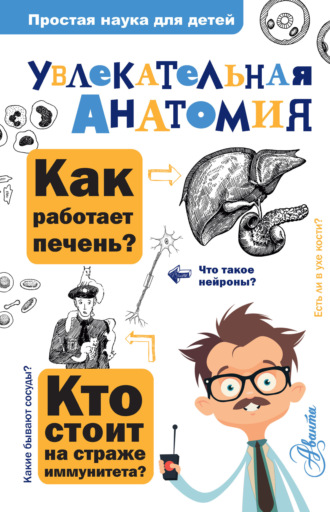 . Увлекательная анатомия