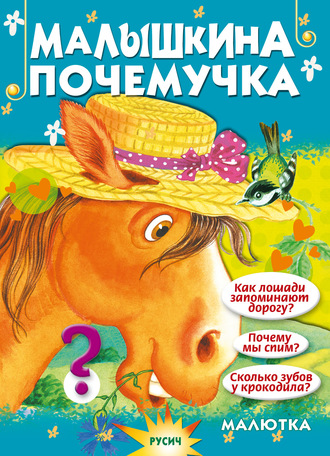 . Малышкина почемучка