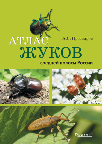 Александр Просвиров. Атлас жуков средней полосы России