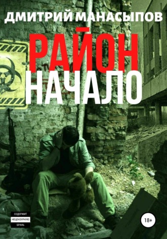 Дмитрий Манасыпов. Район: начало