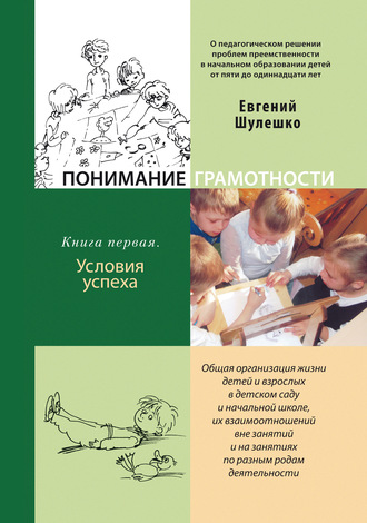 Евгений Шулешко. Понимание грамотности. Книга 1. Условия успеха