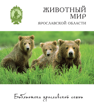 Юрий Маслов. Животный мир Ярославской области