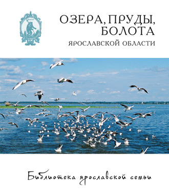 Дмитрий Власов. Озёра, пруды, болота Ярославской области