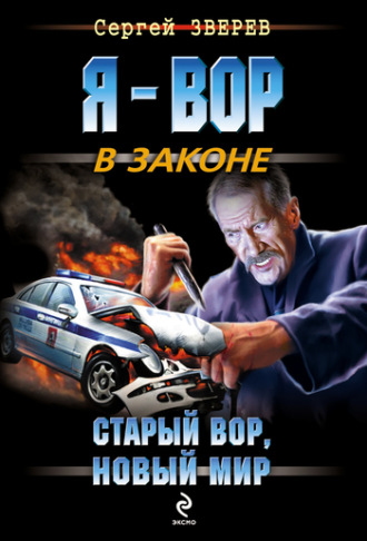 . Старый вор, новый мир