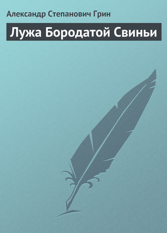 . Лужа Бородатой Свиньи