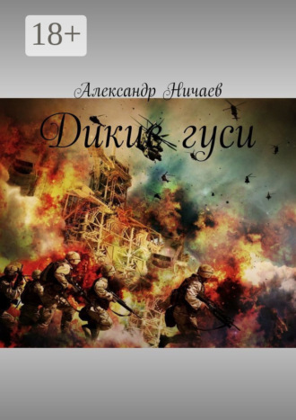 Александр Ничаев. Дикие гуси