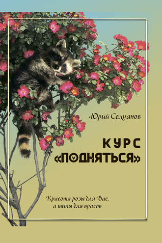 . Курс «Подняться»