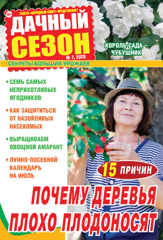 . Дачный сезон №07/2020