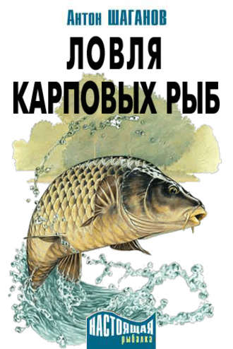 . Ловля карповых рыб