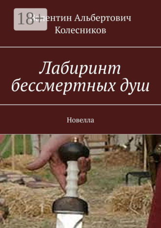 . Лабиринт бессмертных душ. Новелла