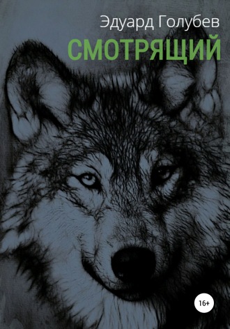 . Смотрящий