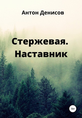 Антон Денисов. Стержевая. Наставник