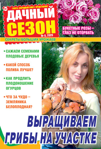 . Дачный сезон №08/2020