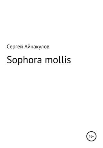 . Sophora mollis
