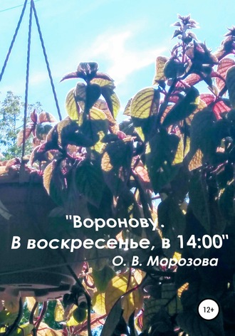 . «Воронову. В воскресенье, в 14:00»