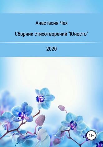 . Сборник стихотворений «Юность»