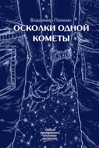 Владимир Понкин. Осколки одной кометы