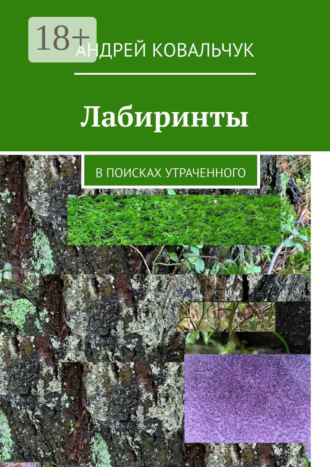 . Лабиринты. В поисках утраченного