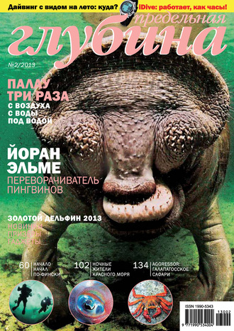 . Предельная Глубина №2/2013
