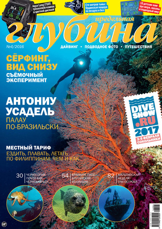 . Предельная Глубина №4/2016