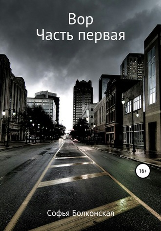 Софья Болконская. Вор. Часть первая