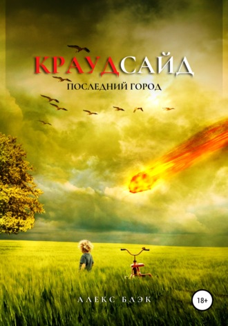 . Краудсайд
