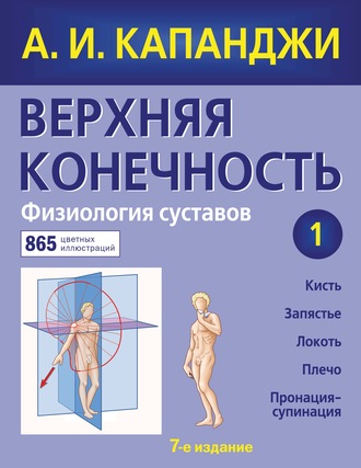 . Верхняя конечность. Физиология суставов