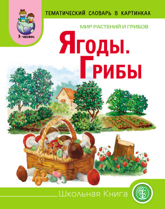 . Мир растений и грибов. Ягоды. Грибы
