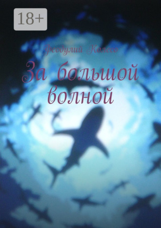 . За большой волной